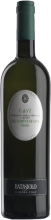 Gavi