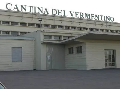 cantina_del_vermentino_monti