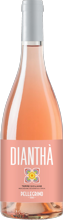 Diantha Rose Terre Siciliane IGT