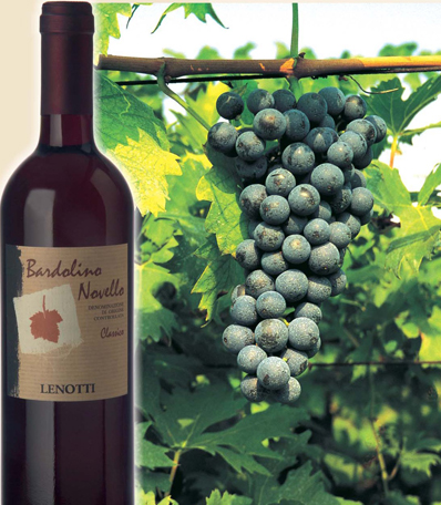 Novello 2022 - der erste Wein der neuen Ernte