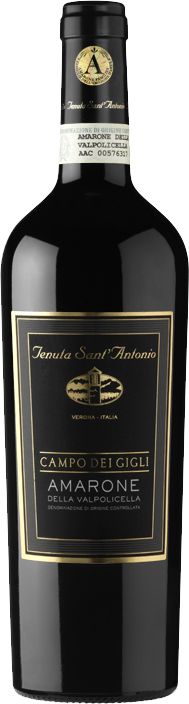 Tenuta Sant Antonio Campo dei Gigli Amarone della Valpolicella DOC 2017