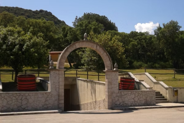 Cantina del Vermentino Monti