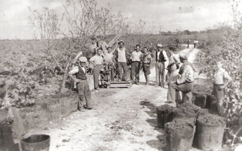 Cantina San Donaci