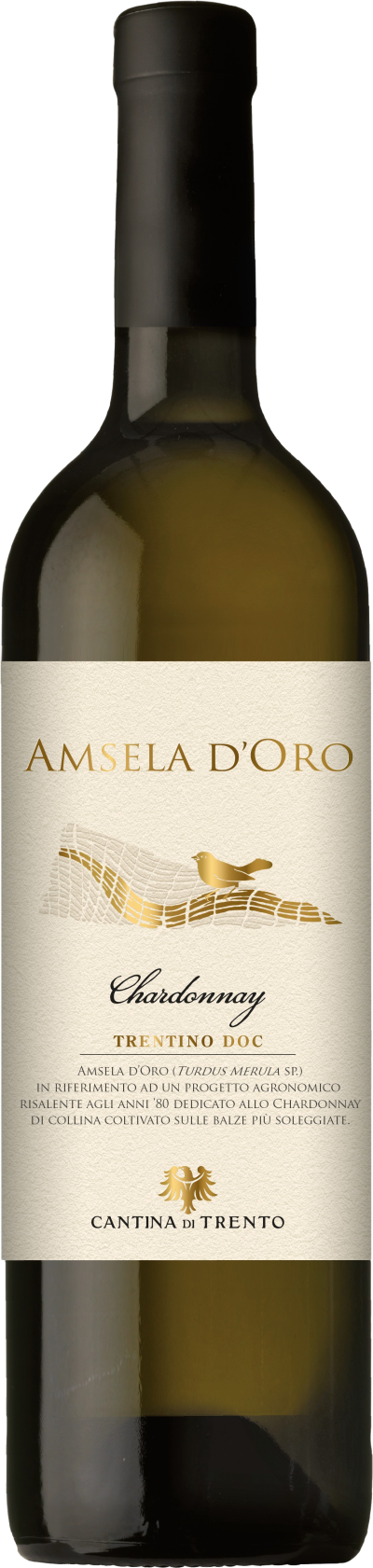 Chardonnay Trentino DOC Amsela d'Oro