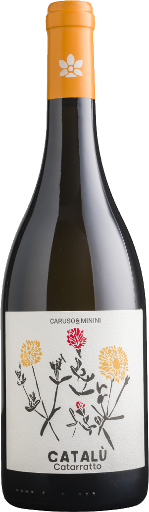 Catalu Bio Catarratto Sicilia DOC