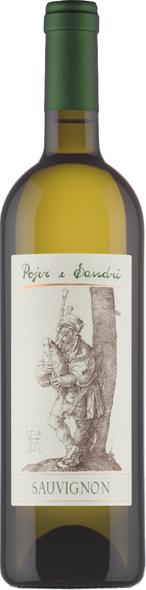 Sauvignon Vigneti delle Dolomiti IGT
