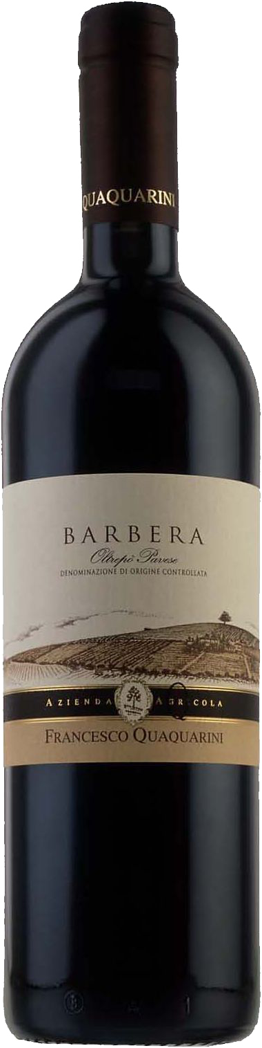 Barbera Frizzante DOC Bio