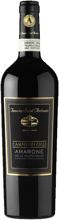 Campo dei Gigli Amarone della Valpolicella DOC