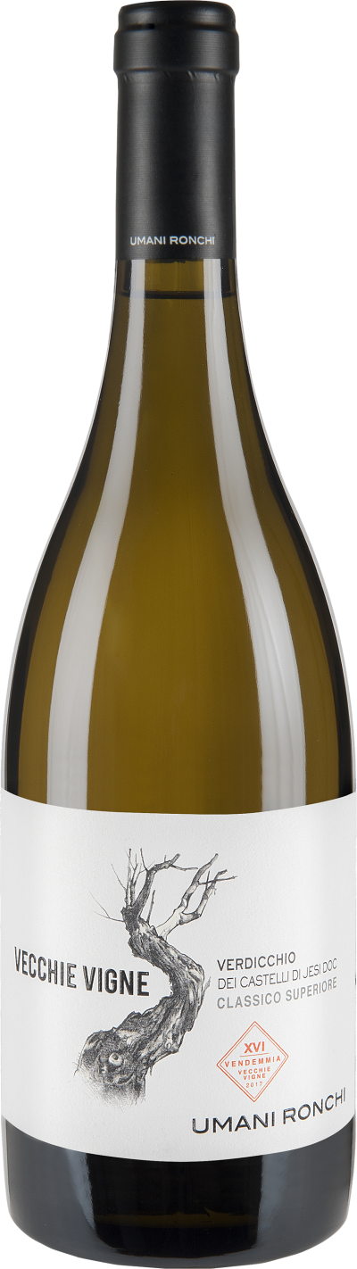 Vecchie Vigne Verdicchio dei Castelli di Jesi DOC Classico Superiore Bio