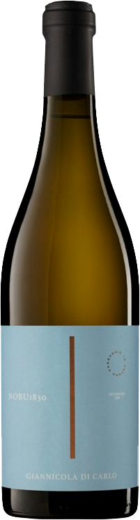 Nobu 1830 Pecorino IGP