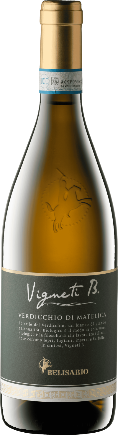 Vigneti B. Verdicchio di Matelica DOC Bio